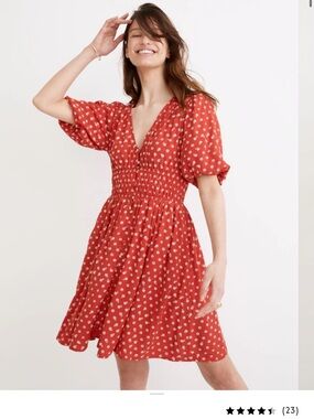 Madewell Sophia Mini Dress in Bandana Flower
